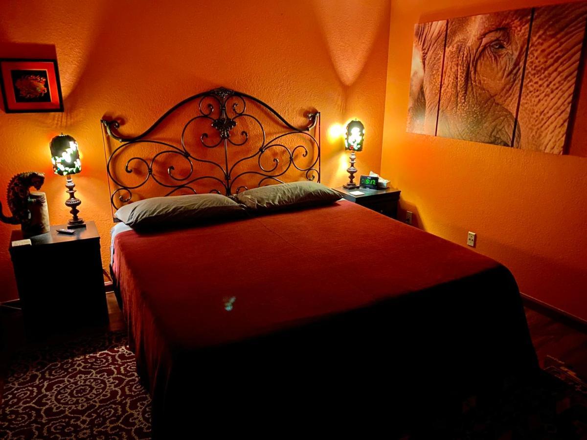 Bed and Breakfast My Big Art Project Санта-Роза Екстер'єр фото