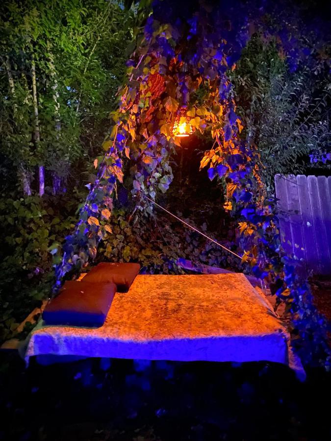 Bed and Breakfast My Big Art Project Санта-Роза Екстер'єр фото